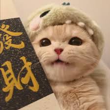 Người dùng